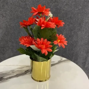 Red Daisy Flowers in Gold Vase