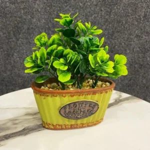 Rustic Green Plant in Vintage Yellow Pot