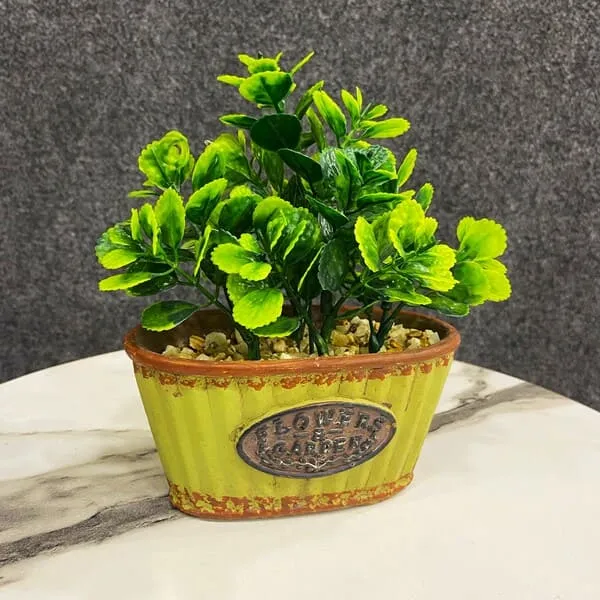 Rustic Green Plant in Vintage Yellow Pot